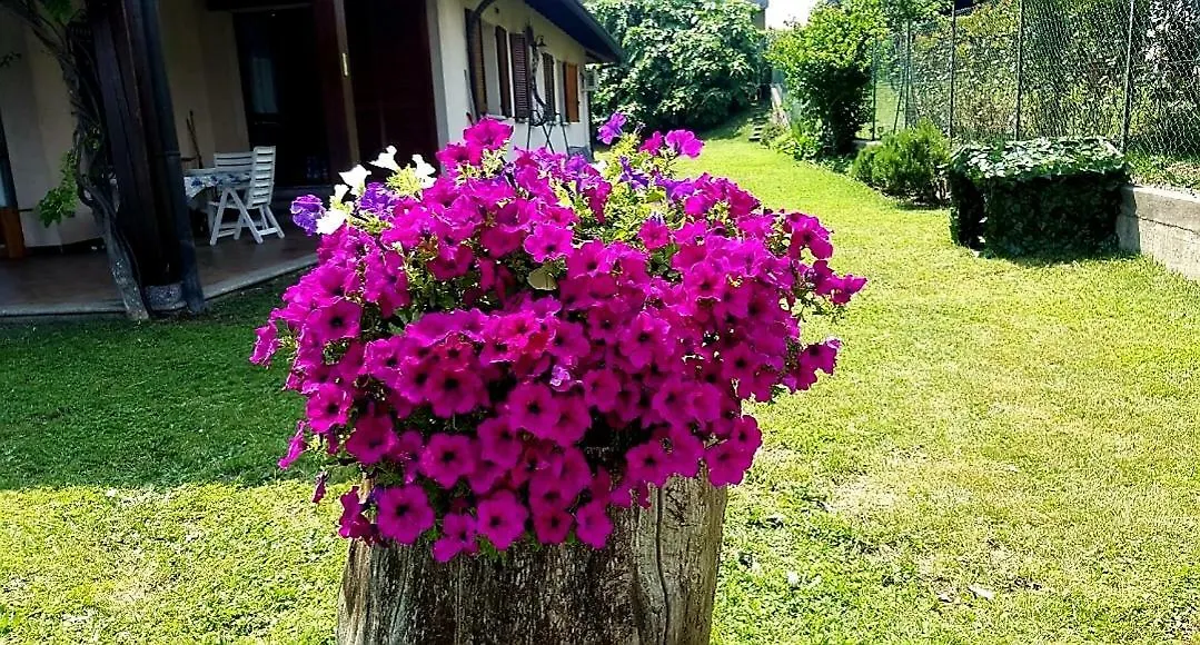 B&B Margot Albavilla 2*,  Italia
